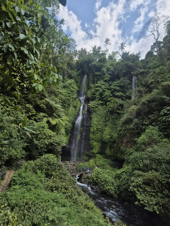 Una cascata circondata da fitta vegetazione